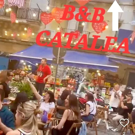 Catalea 3*